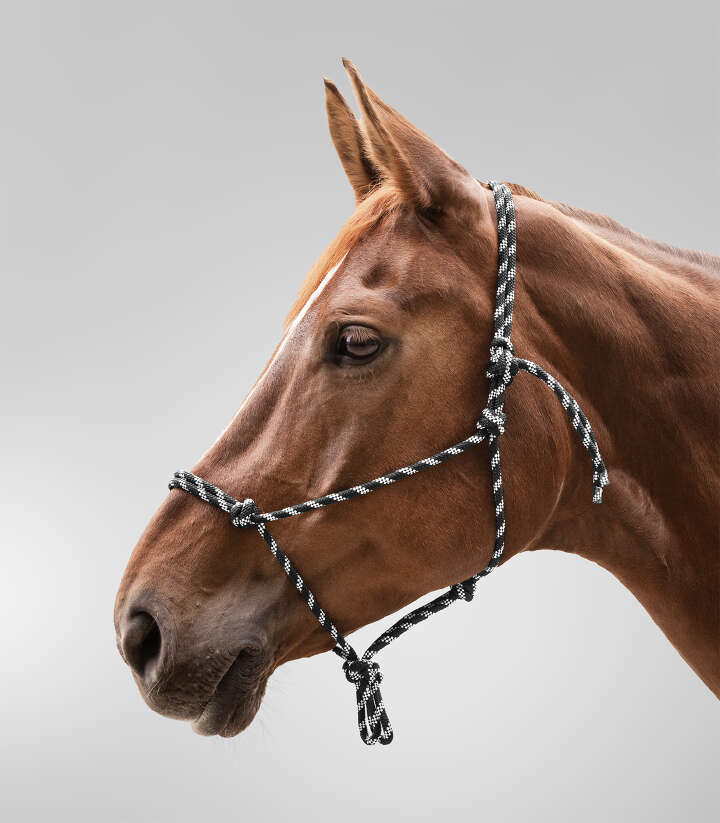 KANTRIE Knotenhalfter Basic